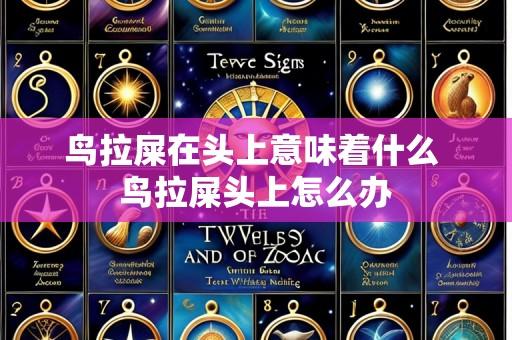 鸟拉屎在头上意味着什么 鸟拉屎头上怎么办