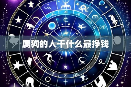 属狗的人干什么最挣钱