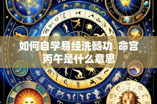 如何自学易经洗髓功  命宫丙午是什么意思