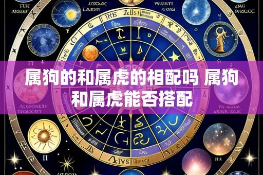 属狗的和属虎的相配吗 属狗和属虎能否搭配
