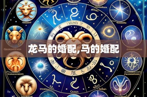 龙马的婚配,马的婚配