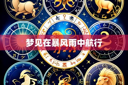 梦见在暴风雨中航行