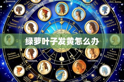 绿萝叶子发黄怎么办