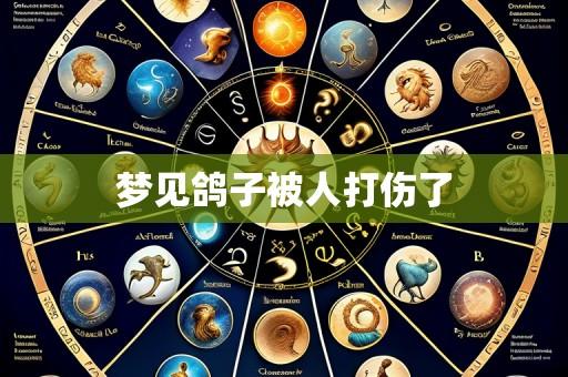 梦见鸽子被人打伤了