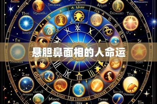 悬胆鼻面相的人命运