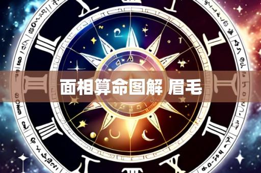 面相算命图解 眉毛