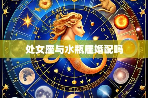 处女座与水瓶座婚配吗