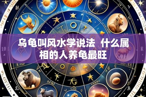 乌龟叫风水学说法 什么属相的人养龟最旺