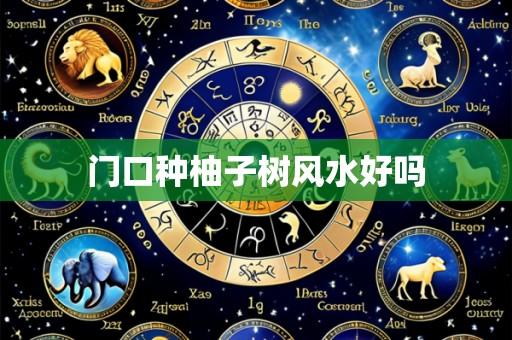 门口种柚子树风水好吗