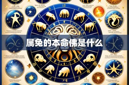 属兔的本命佛是什么