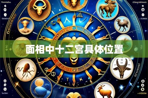 面相中十二宫具体位置