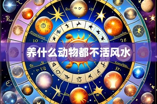 养什么动物都不活风水