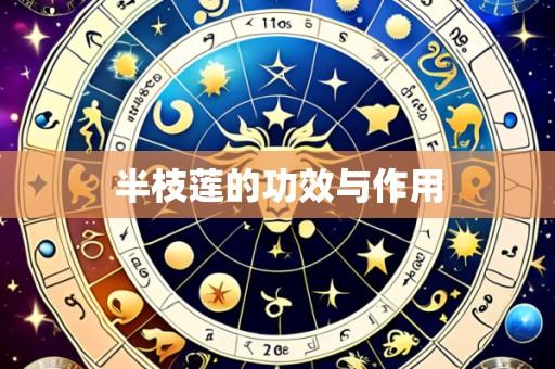 半枝莲的功效与作用
