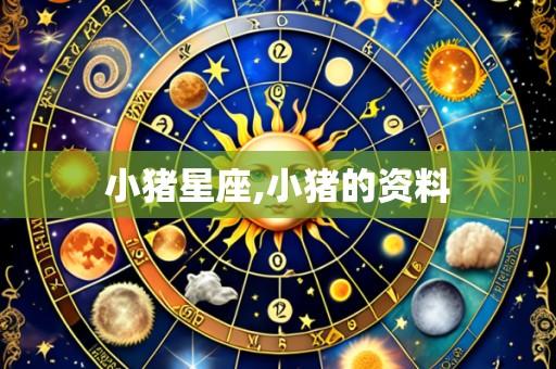 小猪星座,小猪的资料