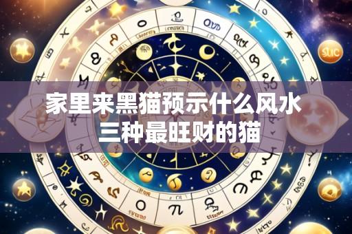 家里来黑猫预示什么风水 三种最旺财的猫