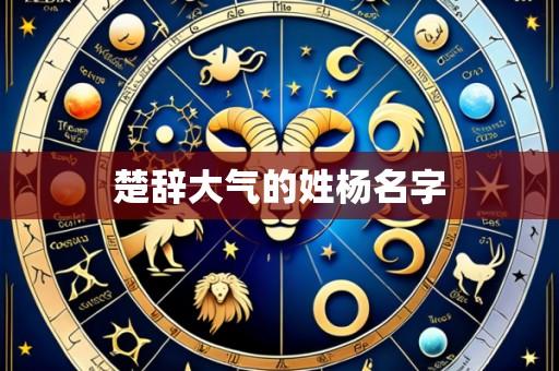 楚辞大气的姓杨名字