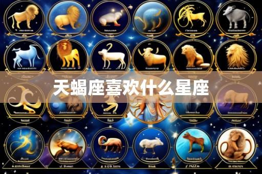天蝎座喜欢什么星座