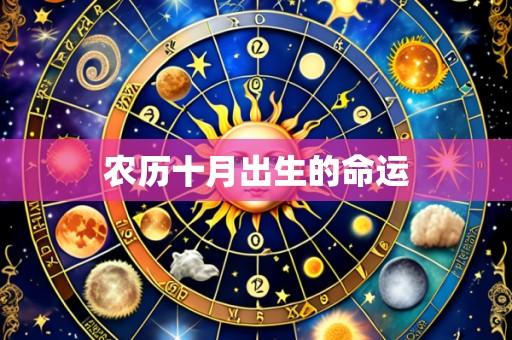 农历十月出生的命运