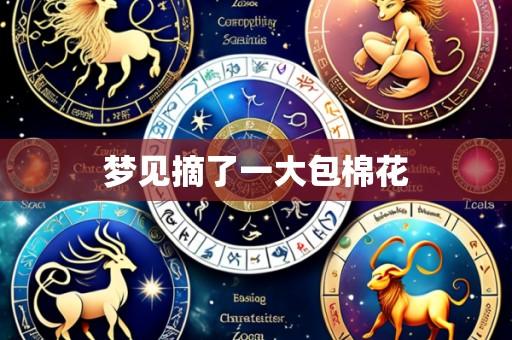梦见摘了一大包棉花