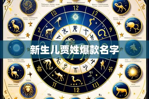 新生儿贾姓爆款名字