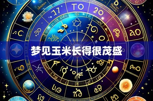 梦见玉米长得很茂盛