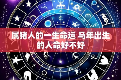 属猪人的一生命运 马年出生的人命好不好