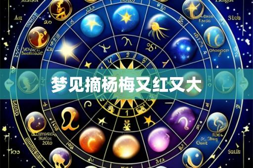 梦见摘杨梅又红又大