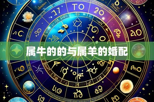 属牛的的与属羊的婚配