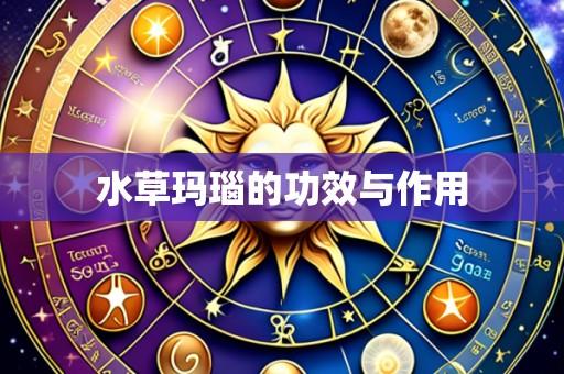水草玛瑙的功效与作用