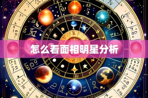 怎么看面相明星分析