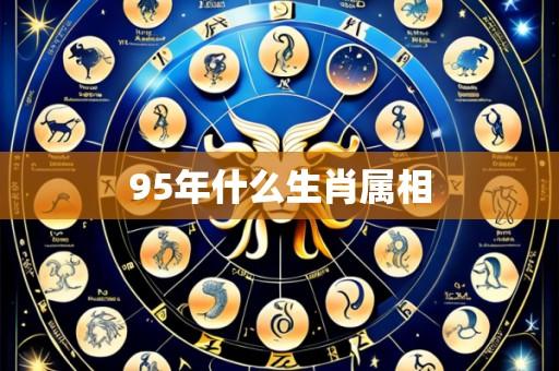 95年什么生肖属相