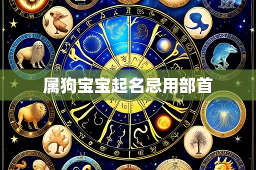 属狗宝宝起名忌用部首