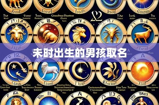 未时出生的男孩取名