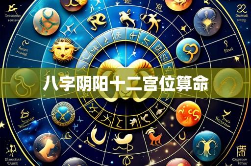 八字阴阳十二宫位算命