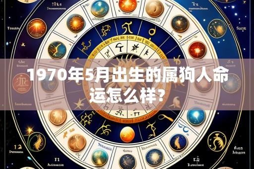 1970年5月出生的属狗人命运怎么样?