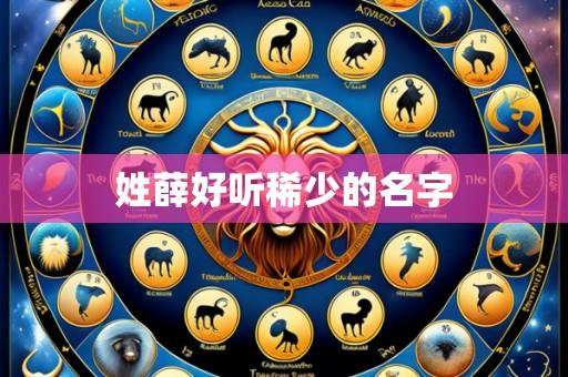 姓薛好听稀少的名字