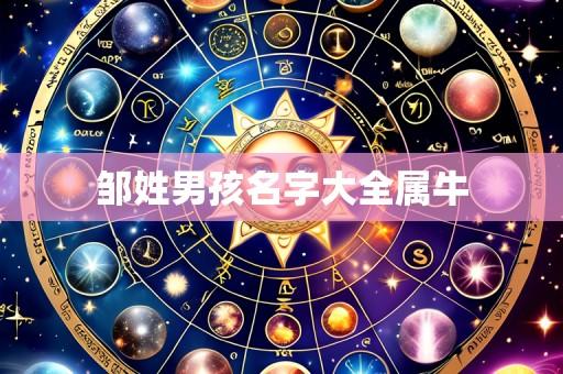 邹姓男孩名字大全属牛