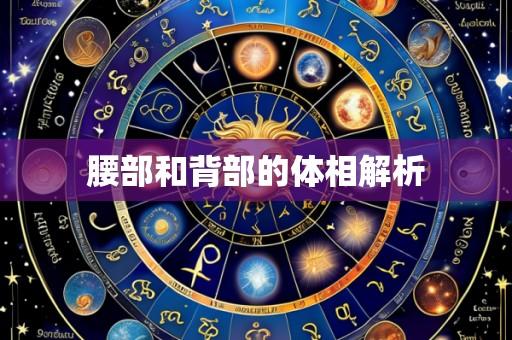 腰部和背部的体相解析