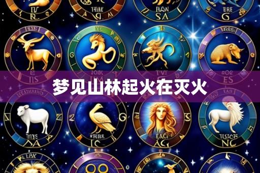 梦见山林起火在灭火