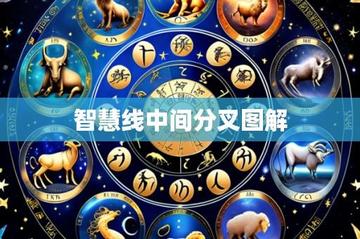 智慧线中间分叉图解