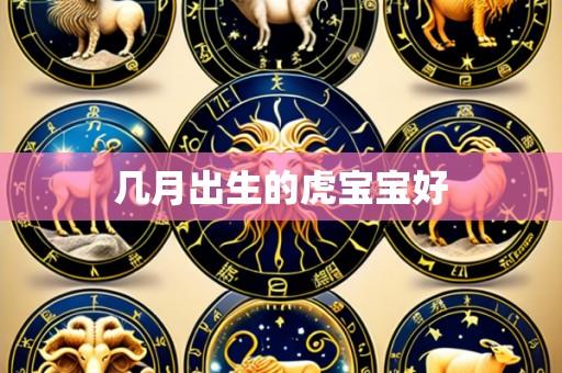 几月出生的虎宝宝好