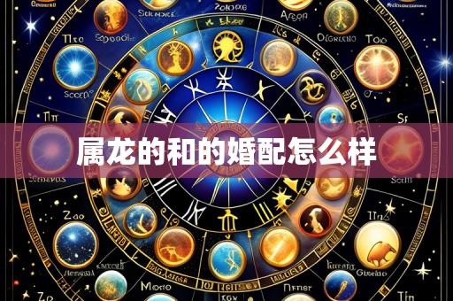 属龙的和的婚配怎么样