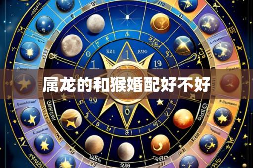 属龙的和猴婚配好不好