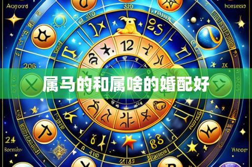属马的和属啥的婚配好