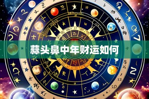 蒜头鼻中年财运如何