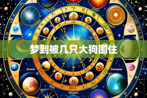 梦到被几只大狗围住