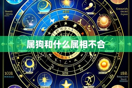 属狗和什么属相不合