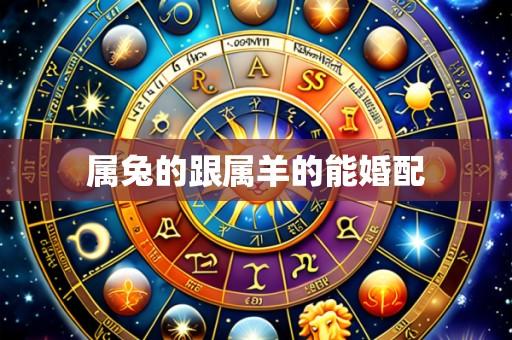 属兔的跟属羊的能婚配