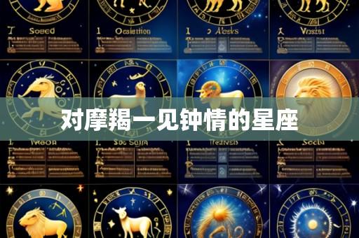 对摩羯一见钟情的星座