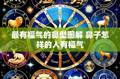 最有福气的鼻型图解 鼻子怎样的人有福气